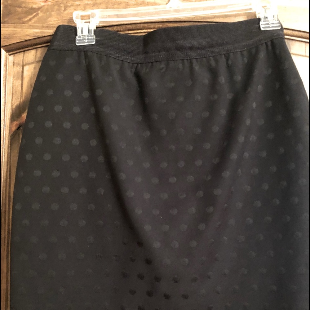 Ann Taylor Skirt